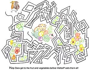 maze puzzle by lilygrace