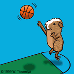 basketball