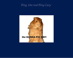 the real bing cavy screensaver