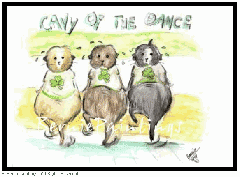 cavy-of-the-dance