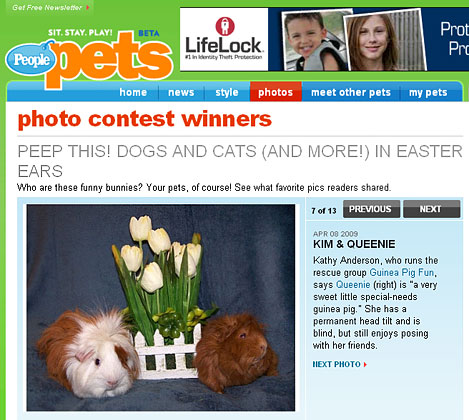 easter photo contest people pets