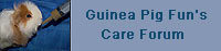 guinea pig fun's care forum link