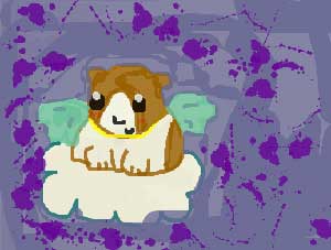 melody's painting of dodo on a cloud