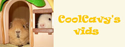 coolcavy's videos link