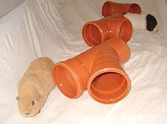 pvc tubes