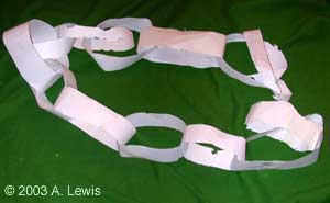 paper chain