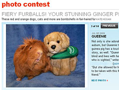 queenie wins people pets contest