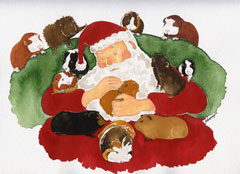 santa with 12 guinea pigs