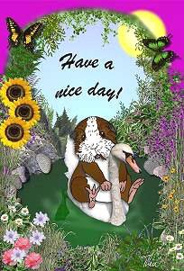 have a nice day