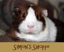 simon shoppelink