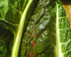 swiss_chard