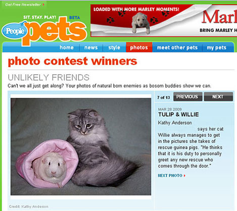 tulip and willie on peoplepets.com