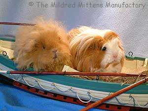 wilma and mavis boating