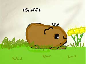 melody's painting of a guinea pig sniffing flowers